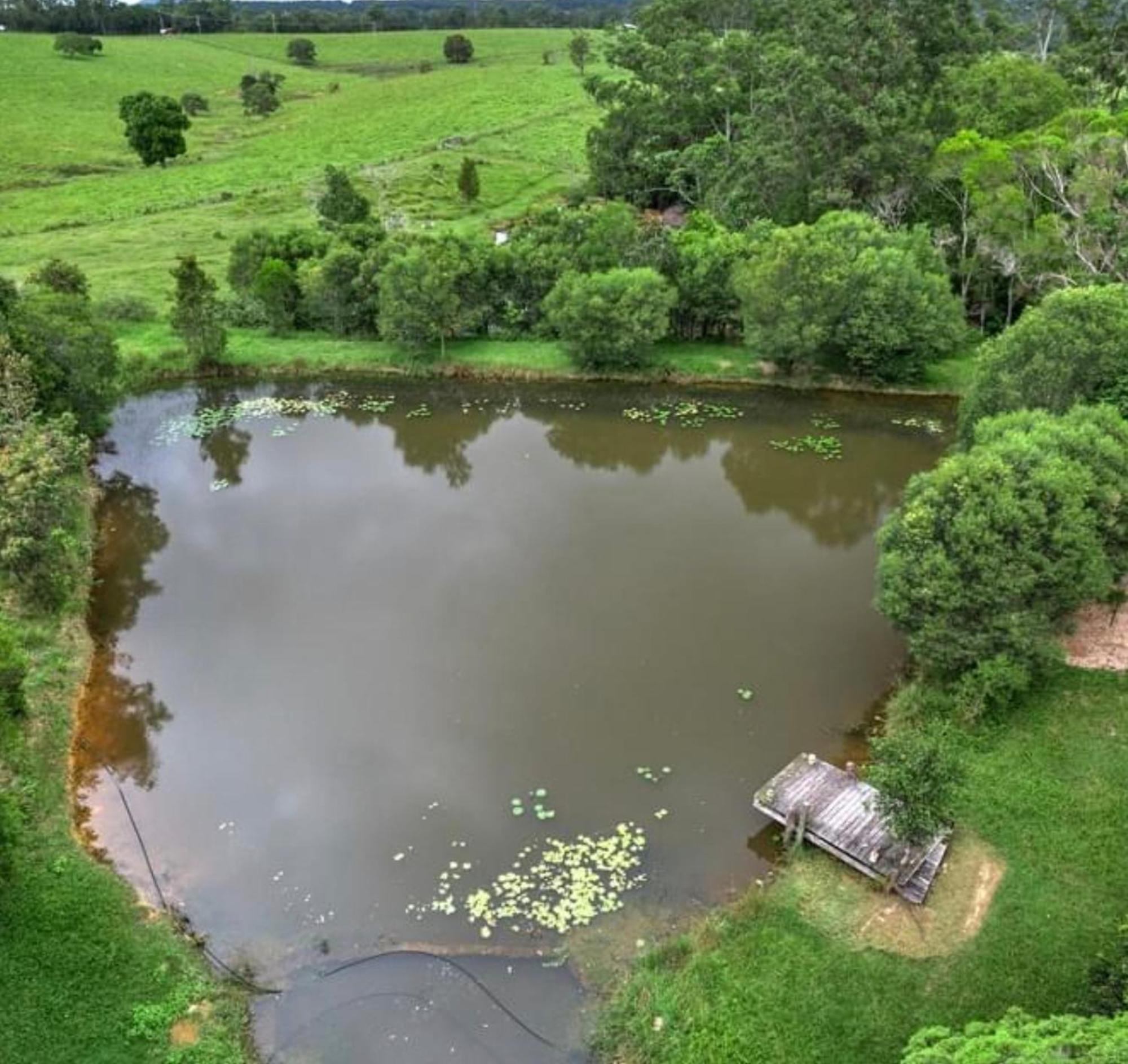 Вілла Noosa Pomona Retreat Sunshine Coast Екстер'єр фото